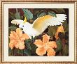 Cockatoo And Hibiscus by Jessie Arms Botke Limited Edition Print