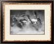 Zebra Whopee by Charlie Morey Limited Edition Pricing Art Print