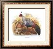 Siamese Crested Fireback by Wolf & Smit Limited Edition Print