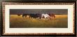 Grazing by Michael Workman Limited Edition Print