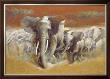 Elephants by Joaquin Moragues Limited Edition Print