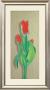 Tulip by M. Allegri Limited Edition Pricing Art Print