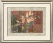 Coral Orchids I by John Butler Limited Edition Print