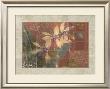 Coral Orchids I by John Butler Limited Edition Pricing Art Print