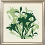 Sage Lilies I by Franz Heigl Limited Edition Pricing Art Print