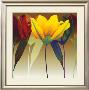Lily Dance by Robert Mertens Limited Edition Pricing Art Print