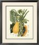 Island Fruits Iv by Berthe Hoola Van Nooten Limited Edition Print