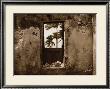 Palm View I by C. J. Groth Limited Edition Print
