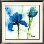 Lily I by Marthe Limited Edition Print