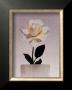 Rose by Dick & Diane Stefanich Limited Edition Print