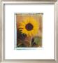 Sunflowers by Vincenzo Ferrato Limited Edition Pricing Art Print