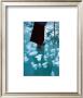 Air Bubbles In The Frozen River Zanskar by Olivier Follmi Limited Edition Pricing Art Print