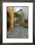 Path Through Montefiorale by Igor Maloratsky Limited Edition Print