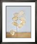 Gorgeous Lunaria Iii by Sara Deluca Limited Edition Pricing Art Print