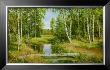 Birch Grove Near Pokrovskoje by Osipov Limited Edition Print