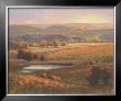 Autumn Color In The Hills by Kim Casebeer Limited Edition Pricing Art Print