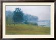 Trees In Fog And Mist by Kurt Solmssen Limited Edition Print