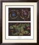 Ornamental Motifs by Michelangelo Pergolesi Limited Edition Print