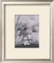 Magnolia by Nancy Gillespie Limited Edition Pricing Art Print