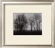 Gathering Trees by Richard Calvo Limited Edition Print