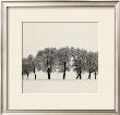 Ten Trees, Austria by Josef Hoflehner Limited Edition Pricing Art Print