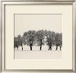Ten Trees, Austria by Josef Hoflehner Limited Edition Pricing Art Print