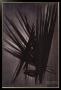 Composition 55-18, 1955 by Hans Hartung Limited Edition Print