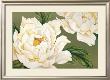 Peonies by Yuriko Takata Limited Edition Print