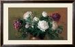 White And Purple Peonies by Joe Anna Arnett Limited Edition Print