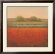 Red Field by Hans Dolieslager Limited Edition Pricing Art Print