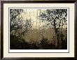 Wooded Solace Ii by Jennifer Goldberger Limited Edition Pricing Art Print