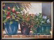 Portulaca In The Sun by Lois Brezinski Limited Edition Pricing Art Print