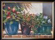 Portulaca In The Sun by Lois Brezinski Limited Edition Print