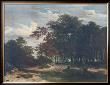 The Heart Of The Forest by Jacob Van Ruisdael Limited Edition Print
