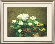 Hydrangea And Pansies by Henri Fantin-Latour Limited Edition Print