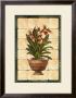 South Sea Orchids I by Franco D'ottore Limited Edition Print