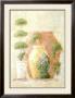 Topiary And Terracotta I by C. C. Wilson Limited Edition Print