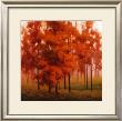 Dressed For Fall by Allen Lund Limited Edition Print