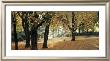 Automne Au Parc by Laurent Pinsard Limited Edition Pricing Art Print