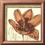 Tulip Study I by Jennifer Goldberger Limited Edition Pricing Art Print