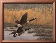 Ducks In Flight by Christopher Forrest Limited Edition Pricing Art Print