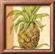 Ginger Pineapple I by Jennifer Goldberger Limited Edition Print