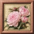 Pretty In Pink Peonies by Igor Levashov Limited Edition Pricing Art Print