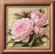 Pretty In Pink Peonies by Igor Levashov Limited Edition Print