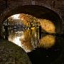 Under The Bridge by Erik Van Hannen Limited Edition Pricing Art Print