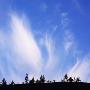 A Cloud Formation In The Sky Above Some Trees by Mikael Andersson Limited Edition Print