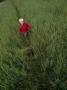 High Angle View Of A Boy Walking In A Field by David Skoog Limited Edition Print