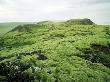 Mossy Lava Field In South Iceland by Atli Mar Hafsteinsson Limited Edition Print