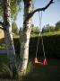 A Swing And A Dartboard In A Tree, Sweden by Inger Bladh Limited Edition Print