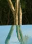 Reflection Of An Olive Tree In An Infinity Pool by Clive Nichols Limited Edition Print